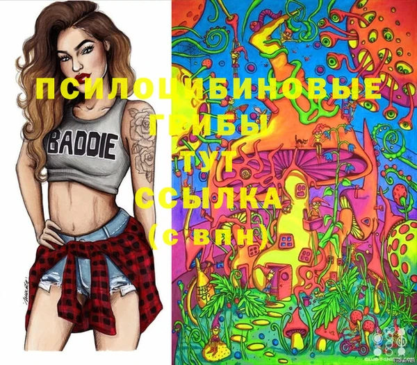 MDMA Premium VHQ Козловка