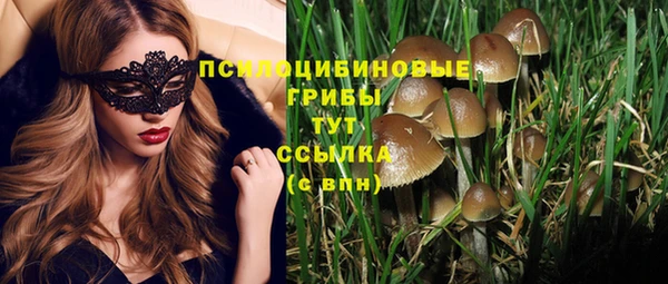 гашик Абдулино