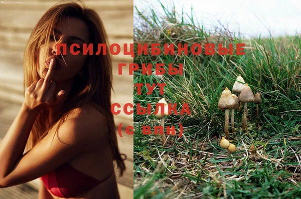 гашик Абдулино