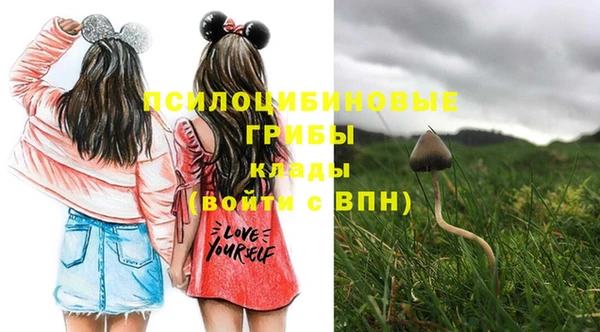 прущие крисы Абинск