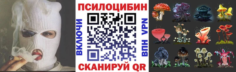 Псилоцибиновые грибы Psilocybine cubensis Кириллов